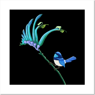 Blue Kangaroo Paw and little blue Wren Posters and Art